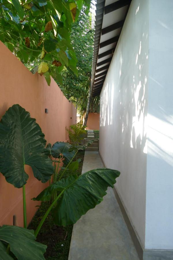Hostel Barefoot Backpackers Zuid-Dikwella